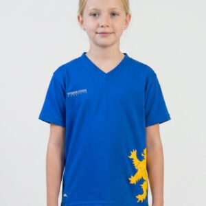 Polera Deportiva Dry-fit Colegio Windsor School