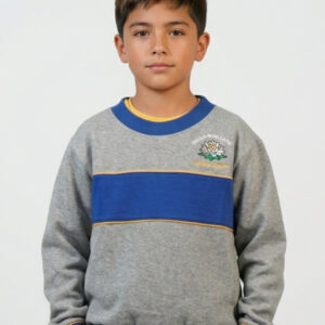 Polerón de Buzo Colegio Gandhi