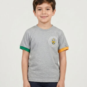 Polera Deportiva Gris Manga Corta Colegio San Luis de Alba