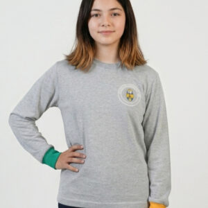 Polera Deportiva Gris Manga Larga Colegio San Luis de Alba