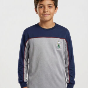 Polera buzo manga larga Colegio Inmaculada Concepción